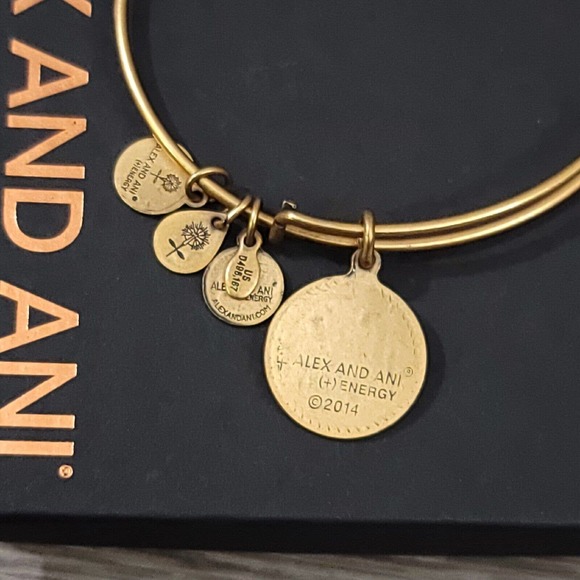 Alex and Ani Open Love Charm Bracelet - Picture 7 of 10